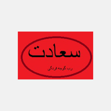 شرکت مزار شریف-رب سعادت-افغانستان
