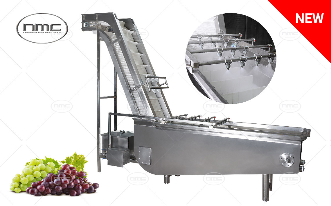 Saplı Meyve Yıkama ve Üst Bölüme alma Makinesi