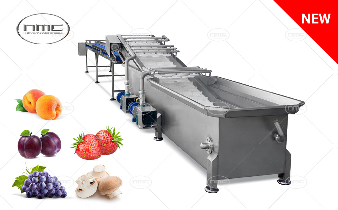 Washing Conveyor for Fragile Fruits