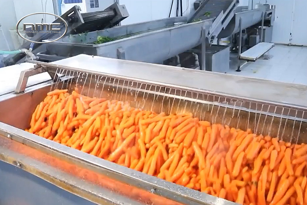 Carrot Washing Line
